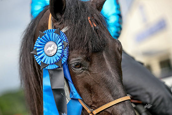 Walking For The Youth