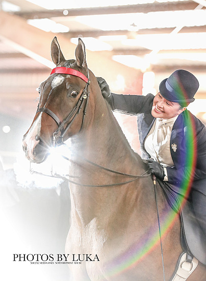 2026 Horse Shows